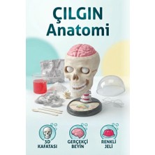 Farbu Oyuncak Clemento-Ni Lisanslı Çılgın Anatomi 18 Parça 3D Kafatası Gerçekçi Gözler Eğitici Oyuncak Bilim Seti