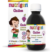 Nutrigen Üzüm Çekirdeği Ekstreli Şurup 200 ml 13 Vitamin ve 5 Mineral İçeren Çocuklar İçin