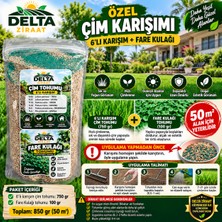 Delta Ziraat 6’lı Çim Tohumu + Fare Kulağı Tohumu Özel Çim Karışımı 850 gr