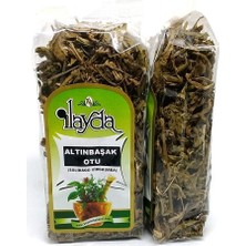 İLAYDA Ilayda Altınbaşak Otu (Solida Virgaurea) 40 gr Doğal Bitki Özelliği ile Sağlıklı Seçim