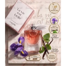 La Vie Est Belle Kadın Parfümü 100 ml – İkonik Bayan Edp