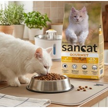 SanCat Kedi Mama