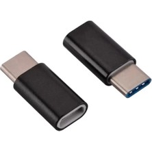 Skygo Ftada19 Type-C To Lightning Çevirici Mini Adaptör ZR351