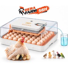 HERA FARM 56H Full Otomatik 56 Yumurta Kapasiteli Kuluçka Makinası (Civciv Suluğu,yemliği ve Takip Kartı Hediyeli)