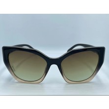 Rebound RP8569 C2P 50-10-145 Güneş Gözlüğü