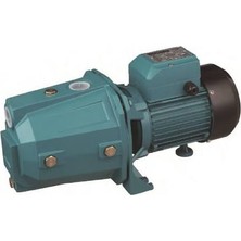 Rapco Jet 200 2 Hp Su Pompası