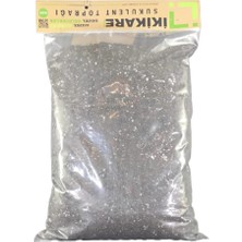 Store Ikikare Sukulent Toprağı 5 Lt