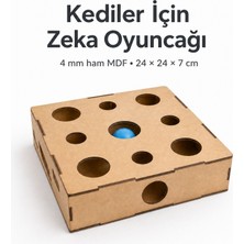 Algwood Kediler Için Zeka Kutusu | 9 Delikli Kare Avlanma Oyuncağı