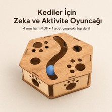 Algwood Kediler Için Zeka Kutusu | Pati Desenli Altıgen Avlanma Oyuncağı