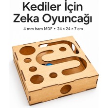 Algwood Kediler Için Zeka Kutusu | S Kanallı Labirent Avlanma Oyuncağı