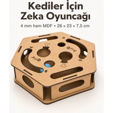 Algwood Kediler Için Zeka Kutusu | Balıklı Kemikli Altıgen Avlanma Oyuncağı
