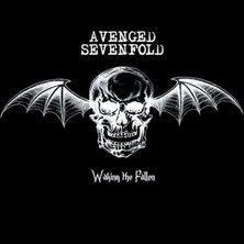 Plak Dolabı Avenged Sevenfold – Waking The Fallen Renkli Plak
