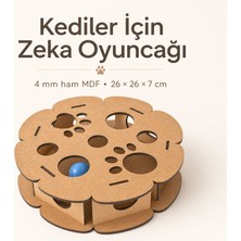 Algwood Kediler Için Zeka Kutusu | Pati Desenli Çiçek Form Avlanma Oyuncağı