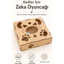 Algwood Kediler Için Zeka Kutusu | Sevimli Kedi Yüzü Desenli Avlanma Oyuncağı