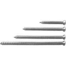 FREKANS 7,5X80 Buldex Vida 100 Ad.