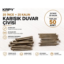 Krpy 50 Adet Karışık Duvar Çivisi Seti – 25 Ince + 25 Kalın Çivi – Saat Asma, Tablo, Çerçeve, Dekorasyon ve Duvar Montaj Çivisi