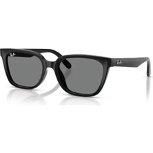 Ray-Ban Rayban 2243D 901/87 55 Unisex Güneş Gözlük