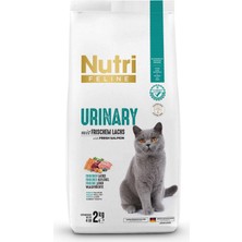 Nutri Feline Somonlu Urinary Yetişkin Kedi Maması 2 kg Premium Kalite Balık Tadı