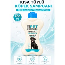 Remuvr Köpek Şampuanı Normal 400 ml | Hassas Ciltlere Uygun Günlük Köpek Bakım Şampuanı
