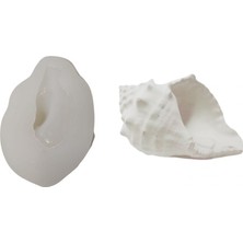 Depposite Silikon 3D Dekoratif Mumluk Kalıbı Deniz Kabuğu Bursa Rubeta Model Taş Tozu ve Beton Kalıbı 8.3x5.5x5.2 cm