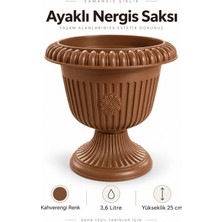 Güzelyüz Avm Nergis Dekoratif Ayaklı Saksı 3,6 Litre 25 cm Kahverengi Renk Çiçek Saksısı Salon Saksısı