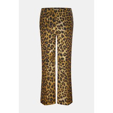 Alberta Ferretti Alberta Ferrettı Multicolor Trousers