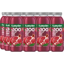 Tr %100 Sıkma Nar Suyu 12X250ML