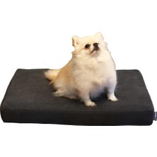 Tr Arya Serisi Ortopedik Premium Kedi ve Köpek Yatağı 60X45 cm