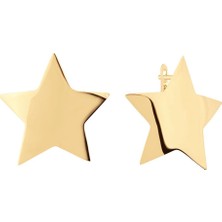 Ema Jewellery Kıvrımlı Yıldız Küpe