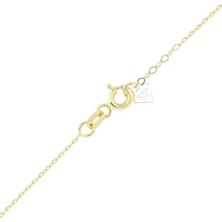Ema Jewellery Kuzey Yıldızı Kalkan Altın Kolye