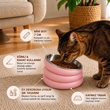 Basart Eğimli Paslanmaz Çelik Kedi Mama Kabı Kaymaz Tabanlı 7 cm Yüksek Standlı Mama ve Su Kabı Dekoratif Tasarım