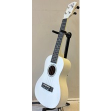 Puka Concert Ukulele