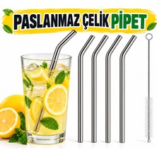 Cina Max Paslanmaz Çelik Pipet Seti 5 Parça Metal Meşrubat Pipeti ve Pipet Temizleme Fırçası