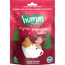 Humm Organic Zencefilli Tarçınlı Vegan Kurabiye 55 G - 8 Adet