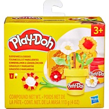 Play-Doh Flowers Oyun Hamuru Set 113 G - 5 Adet