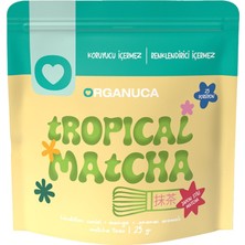 Organuca Hindistan Cevizi + Ananas + Mango Aromalı Matcha Tozu 25 G - 5 Adet