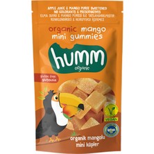 Humm Organic Mangolu Meyve Küpü 30 G - 6 Adet