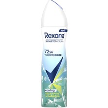 Rexona Thermocool Eucaplyptus & Magnolia Kadın Sprey Deodorant 150 ml - 8 Adet