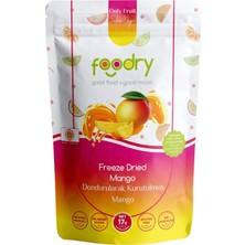 Foodry Freeze-Dry Dondurularak Kurutulmuş Mango 17 G - 8 Adet