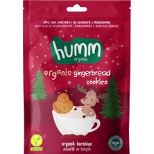 Humm Kurabiye 55 G Zencefil-Tarçın Organik Vegan Şekersiz 6'li Avantaj Paketi - 6 Adet