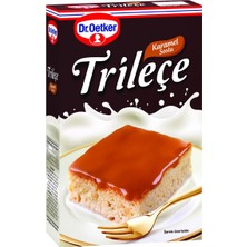 Dr. Oetker Trileçe 315G Hazır Tatlı Karışımı 5'li Avantaj Paketi - 5 Adet