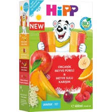 Hipp Organik Karışık Meyve Sulu Dondur Ye 10 x 40 ml - 3 Adet