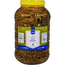 Metro Chef Kaya Koruğu 4,8 kg Pet - Konserve Turşuluk