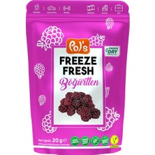 Pol's Freeze Fresh 20 G Böğürtlen | Dondurularak Kurutulmuş Sağlıklı Atıştırmalı 4'li Avantaj Paketi - 4 Adet