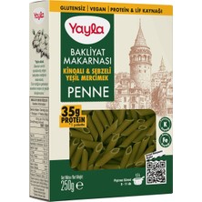 Yayla Glutensiz Kinoa ve Sebze Yeşil Mercimek Penne 250 G - 8 Adet
