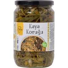 Talia Kaya Koruğu 660 G - 3 Adet