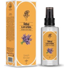 Rebul Lavanda Edc Spreyli Pet Şişe 125 ml - 6 Adet