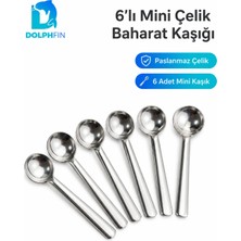 Dolphfin 6’lı Mini Paslanmaz Çelik Baharat Kaşığı Ölçü ve Servis Kaşık Seti