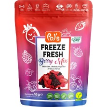 Pol's Freeze Fresh 16 G Berry Mıx: Çıtır Çıtır, Katkısız ve Şekersiz Dondurulmuş 4'li Avantaj Paketi - 4 Adet