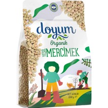 Doyum Organik Yeşil Mercimek 1 kg - Doğal ve Lezzetli Bakliyat 2'li Ekonomik Paket - 2 Adet
